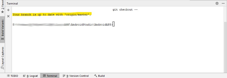 GIT checkout success