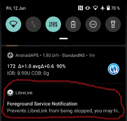 LibreLink Служба переднего плана (основной режим)