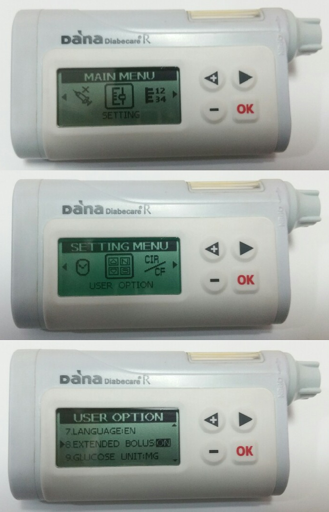 DanaR pump